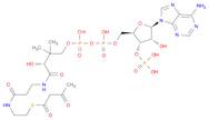 Coenzyme A, S-(3-oxobutanoate)