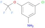 Benzenamine, 3-chloro-5-(trifluoromethoxy)-