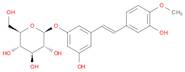β-D-Glucopyranoside, 3-hydroxy-5-[(1E)-2-(3-hydroxy-4-methoxyphenyl)ethenyl]phenyl