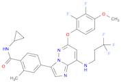 Benzamide, N-cyclopropyl-4-[6-(2,3-difluoro-4-methoxyphenoxy)-8-[(3,3,3-trifluoropropyl)amino]imidazo[1,2-b]pyridazin-3-yl]-2-methyl-