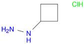 Hydrazine, cyclobutyl-, hydrochloride (1:1)