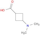 cyclobutanecarboxylic acid, 3-(dimethylamino)-