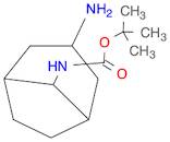 Carbamic acid, N-(3-aminobicyclo[3.2.1]oct-8-yl)-, 1,1-dimethylethyl ester