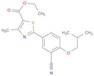 5-Thiazolecarboxylic acid, 2-[3-cyano-4-(2-methylpropoxy)phenyl]-4-methyl-, ethyl ester