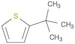 Thiophene, 2-(1,1-dimethylethyl)-