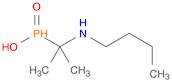 Phosphinic acid, P-[1-(butylamino)-1-methylethyl]-