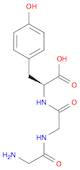 L-Tyrosine, glycylglycyl-