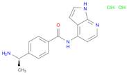 Benzamide, 4-[(1R)-1-aminoethyl]-N-1H-pyrrolo[2,3-b]pyridin-4-yl-, dihydrochloride (9CI)