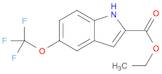 1H-Indole-2-carboxylic acid, 5-(trifluoromethoxy)-, ethyl ester