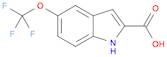 1H-Indole-2-carboxylic acid, 5-(trifluoromethoxy)-