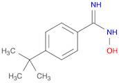Benzenecarboximidamide, 4-(1,1-dimethylethyl)-N-hydroxy-