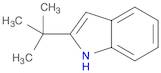 1H-Indole, 2-(1,1-dimethylethyl)-