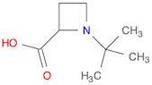 2-Azetidinecarboxylic acid, 1-(1,1-dimethylethyl)-