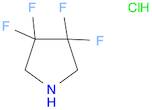 Pyrrolidine, 3,3,4,4-tetrafluoro-, hydrochloride (1:1)