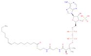 Coenzyme A, S-(9Z)-9-hexadecenoate