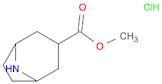 8-Azabicyclo[3.2.1]octane-3-carboxylic acid, methyl ester, hydrochloride (1:1)