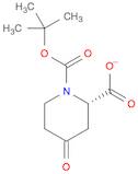1,2-Piperidinedicarboxylic acid, 4-oxo-, 1-(1,1-dimethylethyl) ester, (2S)-
