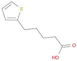 2-Thiophenepentanoic acid