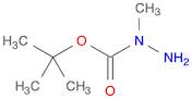 Hydrazinecarboxylic acid, 1-methyl-, 1,1-dimethylethyl ester