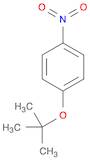 Benzene, 1-(1,1-dimethylethoxy)-4-nitro-