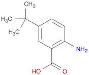 Benzoic acid, 2-amino-5-(1,1-dimethylethyl)-