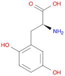 Phenylalanine, 2,5-dihydroxy-