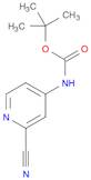 Carbamic acid, N-(2-cyano-4-pyridinyl)-, 1,1-dimethylethyl ester
