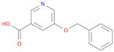 3-Pyridinecarboxylic acid, 5-(phenylmethoxy)-