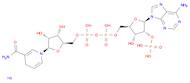 Adenosine 5'-(trihydrogen diphosphate), 2'-(dihydrogen phosphate), P'→5'-ester with 1,4-dihydro-1-β-D-ribofuranosyl-3-pyridinecarboxamide, sodium salt (1:4)