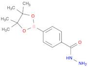 Benzoic acid, 4-(4,4,5,5-tetramethyl-1,3,2-dioxaborolan-2-yl)-, hydrazide