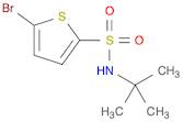 2-Thiophenesulfonamide, 5-bromo-N-(1,1-dimethylethyl)-