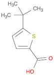 2-Thiophenecarboxylic acid, 5-(1,1-dimethylethyl)-