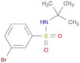 Benzenesulfonamide, 3-bromo-N-(1,1-dimethylethyl)-
