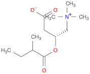 1-Propanaminium, 3-carboxy-N,N,N-trimethyl-2-(2-methyl-1-oxobutoxy)-, inner salt, (2R)-