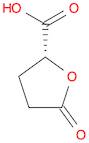 (R)-5-Oxotetrahydrofuran-2-carboxylic acid
