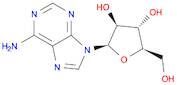 Adenine 9-β-D-arabinofuranoside