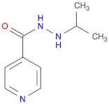 N'-Isopropylpyridine-4-Carbohydrazide
