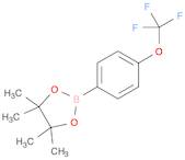 4,4,5,5-Tetramethyl-2-(4-Trifluoromethoxyphenyl)-1,3,2-Dioxaborolane