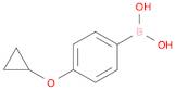 (4-cyclopropyloxyphenyl)boronic Acid