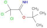 tert-Butyl 2,2,2-trichloroacetimidate