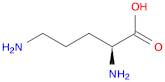 (S)-2,5-Diaminovaleric acid
