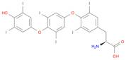 O-[4-(4-Hydroxy-3,5-diiodophenoxy)-3,5-diiodophenyl]-3,5-diiodo-L-tyrosine