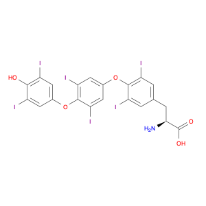 O-[4-(4-Hydroxy-3,5-diiodophenoxy)-3,5-diiodophenyl]-3,5-diiodo-L-tyrosine