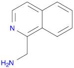 1-Isoquinolinemethanamine