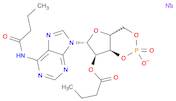 N-6,O-2'-Dibutyryladenosine cyclic 3',5'-monophosphate sodium salt