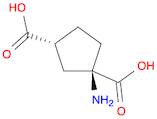 (1R,3R)-1-aminocyclopentane-1,3-dicarboxylic acid