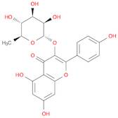 Kaempferol 3-O-rhamnoside