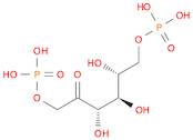 D-Fructose 1,6-Bis(Dihydrogen Phosphate)