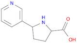 Nornicotine-2-Carboxylic Acid