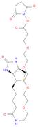 21-[(3aS,4S,6aR)-Hexahydro-2-oxo-1H-thieno[3,4-d]imidazol-4-yl]-17-oxo-4,7,10,13-tetraoxa-16-azaheneicosanoic acid 2,5-dioxo-1-pyrrolidinyl ester